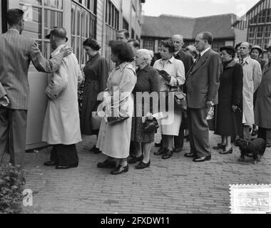 Voto per i consigli comunali. Primo Ministro Dr. Drees in linea per la stazione di voto, 27 maggio 1953, elezioni comunali, ministri, Seggi elettorali, elezioni, Paesi Bassi, foto agenzia stampa del XX secolo, notizie da ricordare, documentario, fotografia storica 1945-1990, storie visive, Storia umana del XX secolo, che cattura momenti nel tempo Foto Stock