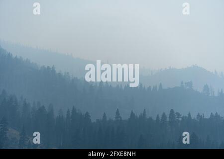 Primo piano di montagne ricoperte di vegetazione e ricoperte di nebbia Foto Stock