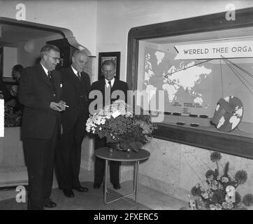 Ufficio di consulenza tè Europa, Singel 170/72, inaugurazione della nuova sala espositiva e così via, 29 maggio 1950, mostre, tè, I Paesi Bassi, foto agenzia stampa del XX secolo, notizie da ricordare, documentario, fotografia storica 1945-1990, storie visive, Storia umana del XX secolo, che cattura momenti nel tempo Foto Stock