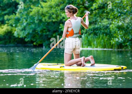 Donna paddling con tavola da surf sup sulla Foresta Fiume Foto Stock