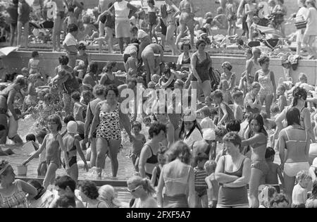 Calore tropicale. Un aneto di persone nelle Sloterplas, 1 luglio 1968, bagnanti, Paesi Bassi, foto agenzia stampa del xx secolo, notizie da ricordare, documentario, fotografia storica 1945-1990, storie visive, Storia umana del XX secolo, che cattura momenti nel tempo Foto Stock