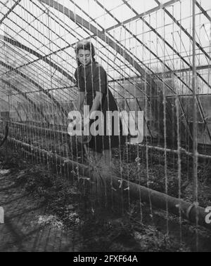 Scuola orticola Huize te Lande Rijswijk, 1 aprile 1946, Paesi Bassi, foto agenzia stampa del XX secolo, notizie da ricordare, documentario, fotografia storica 1945-1990, storie visive, Storia umana del XX secolo, che cattura momenti nel tempo Foto Stock