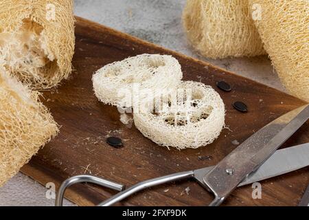 Zero rifiuti - loofah naturale Foto Stock