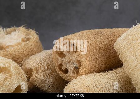 Zero rifiuti - loofah naturale Foto Stock