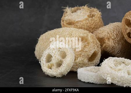 Zero rifiuti - loofah naturale Foto Stock