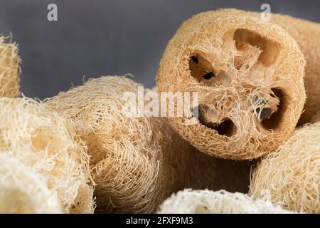 Zero rifiuti - loofah naturale Foto Stock