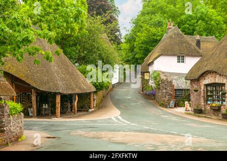 Cockington, Devon, Inghilterra Foto Stock