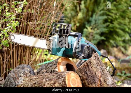 Sega a catena elettrica e legno segato durante la lavorazione stagionale in giardino e taglio alberi per legna da ardere. Foto Stock