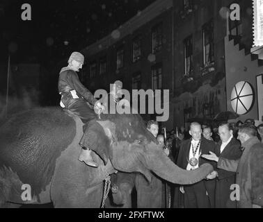 Gioco USC lustum. Con la regina Giuliana, il principe Bernhard e la principessa Beatrice. Elefante stacca fuori tronco al principe Bernhard, 3 luglio 1956, regine, casa reale, lustri, elefanti, principi, principesse, unioni studentesche, Dramma, Paesi Bassi, foto agenzia stampa del XX secolo, notizie da ricordare, documentario, fotografia storica 1945-1990, storie visive, Storia umana del XX secolo, che cattura momenti nel tempo Foto Stock