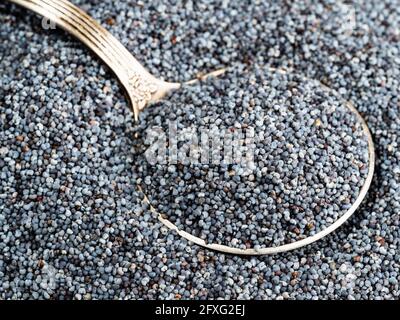 cucchiaio d'argento in semi di papavero primo piano Foto Stock