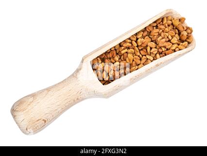 Vista dall'alto dei semi di Fenugreek in taglio di paletta di legno sfondo bianco Foto Stock