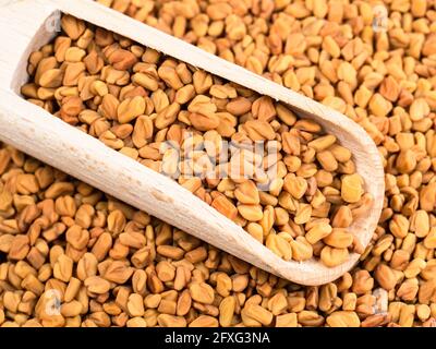 Paletta di legno su pila di semi Fenugreek primo piano Foto Stock
