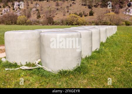 Balle di fieno avvolte in fogli in Baviera, Germania Foto Stock