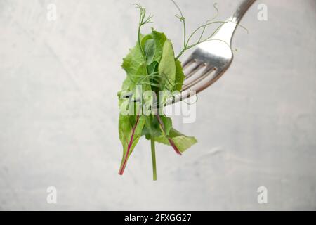 primo piano fork con diversi tipi di insalate su tavola bianca testurizzata. Giovani germogli succose di piselli o fagioli, germogli di barbabietole e insalata verde. Cibo sano Foto Stock