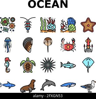 Ocean Underwater Life Collection icone Set Vector Illustrazione Vettoriale