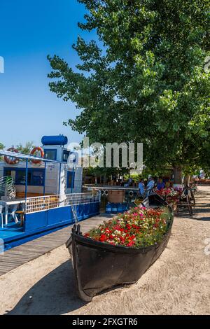 Gura Portitei villaggio, barca piena di fiori, Portita penisola a delta del Danubio, Europa orientale, Romania Foto Stock