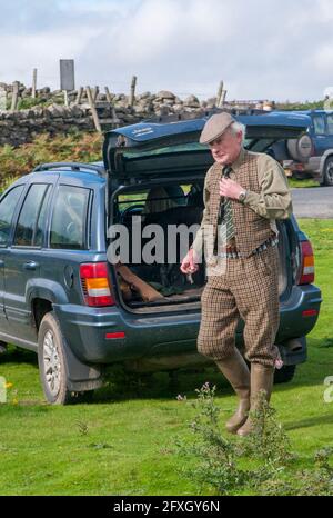 North Yorkshire, Inghilterra Regno Unito - una pistola su un fagiano di monte moro durante una condotta grouse sparare con i suoi cani Foto Stock