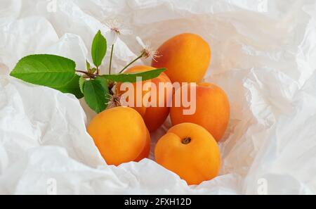 Albicocche frutta su un foglio di imballaggio sminuzzato fatto di carta bianca, concetto zero rifiuti, primo piano. Foto Stock