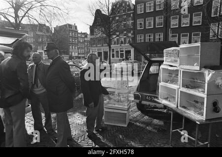 Mercato degli uccelli su Noordermarkt ad Amsterdam, 28 ottobre 1974, mercati degli uccelli, Paesi Bassi, foto agenzia stampa del xx secolo, notizie da ricordare, documentario, fotografia storica 1945-1990, storie visive, Storia umana del XX secolo, che cattura momenti nel tempo Foto Stock