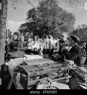 Mercato degli uccelli a Noordermarkt ad Amsterdam; mercato degli uccelli a Noordermarkt, 28 ottobre 1974, mercati degli uccelli, Paesi Bassi; foto agenzia stampa del xx secolo, notizie da ricordare, documentario, fotografia storica 1945-1990, storie visive, Storia umana del XX secolo, che cattura momenti nel tempo Foto Stock