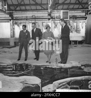 Coppia reale della Thailandia Visita Water Cycle Research Lab. A Delft, Paesi Bassi, 25 ottobre 1960, coppie reali, I Paesi Bassi, foto agenzia stampa del XX secolo, notizie da ricordare, documentario, fotografia storica 1945-1990, storie visive, Storia umana del XX secolo, che cattura momenti nel tempo Foto Stock