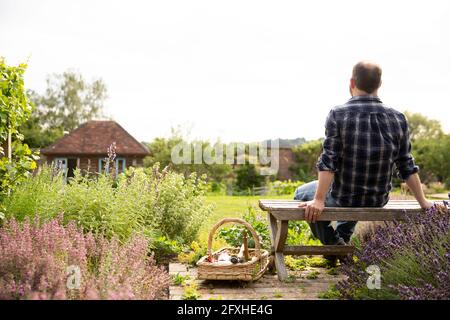 Uomo che prende una pausa dal giardinaggio in idilliaco giardino cottage soleggiato Foto Stock