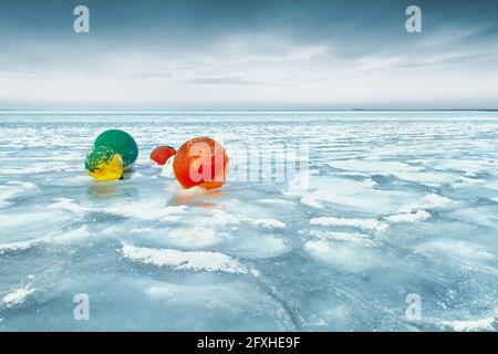 GIRONDE(33), CARCANS, LAGO FROZEN CON BOE COLORATE IN PRIMO PIANO Foto Stock