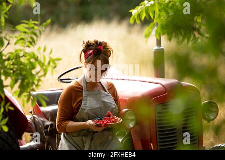 Donna felice con uva secca di Corinto rossa appena raccolta sul trattore Foto Stock