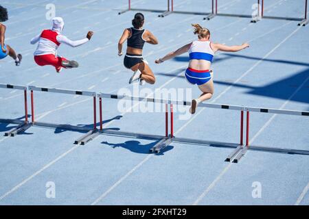 Atlete di atletica leggera e atlete di campo che saltano gli ostacoli su una pista soleggiata Foto Stock