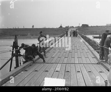 Wijchen. Costruzione di ponti militari sul braccio del Maas, 14 ottobre 1953, industria edile, ponti, Paesi Bassi, foto agenzia stampa del xx secolo, notizie da ricordare, documentario, fotografia storica 1945-1990, storie visive, Storia umana del XX secolo, che cattura momenti nel tempo Foto Stock