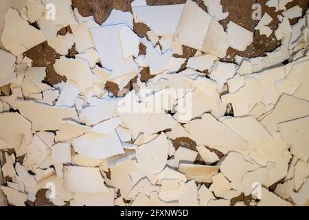 Frammenti di piastrelle di polistirene per soffitto spelati da un soffitto durante ridecorazione Foto Stock