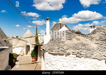 Le tradizionali case bianche dei Trulli, Alberobello, Patrimonio dell'Umanità dell'UNESCO, provincia di Bari, Puglia, Italia, Europa Foto Stock