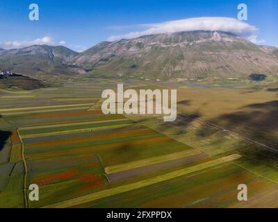 Veduta aerea del piano Grande dell'altopiano di Castelluccio di Norcia e del Monte Vettore, della catena montuosa dei Sibillini, Appennini, Umbria, Italia, Europa Foto Stock