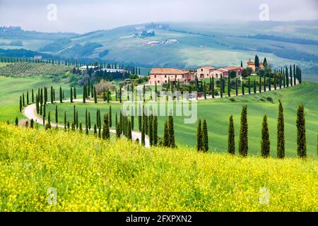 Agriturismo in verde paesaggio estivo vicino Crete Senesi, Toscana, Italia, Europa Foto Stock