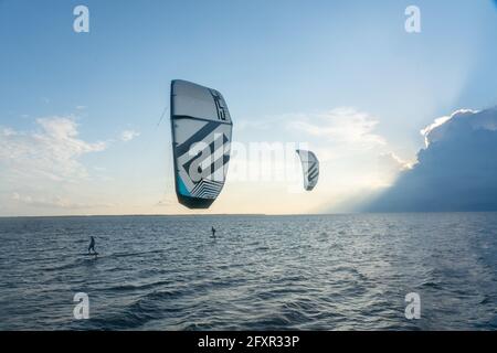 Foiling kiteboarders on the Pamlico Sound, Nags Head, North Carolina, Stati Uniti d'America, Nord America Foto Stock