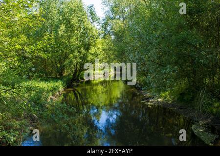 Fiume Niers, Geldern, Germania Foto Stock