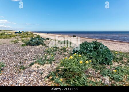 Kessingland Beach, Suffolk, Inghilterra. Foto Stock