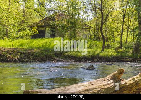 Una casa abbandonata sulla riva del fiume con grande erba e alberi Foto Stock