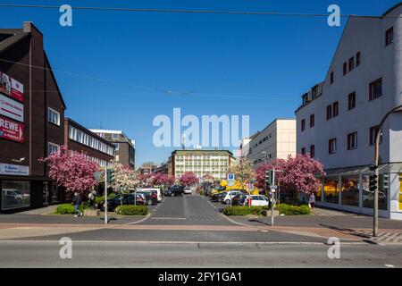 Germania, Oberhausen, Oberhausen-Osterfeld, zona della Ruhr, basso Reno, Renania, Renania Settentrionale-Vestfalia, NRW, vista attraverso la Bottrper Street fino a Gildenstrasse, case residenziali e edifici commerciali Foto Stock