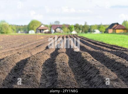 Arato campo agricolo, solchi sul terreno. Foto Stock