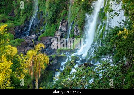 Circuito superiore, Cascate Iguazú, Misiones, Argentina. Foto Stock