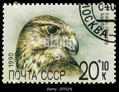 MOSCA, RUSSIA - 31 AGOSTO 2019: Francobollo stampato in Unione Sovietica (Russia) mostra SAKER Falcon (Falco Cherrug), ZOO Relief Fund serie, circa 1990 Foto Stock