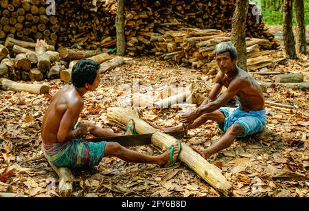 Ghajini è una famosa foresta verde nel distretto di Sherpur Del Bangladesh dove vengono creati punti picnic artificiali tagliare gli alberi nella na Foto Stock