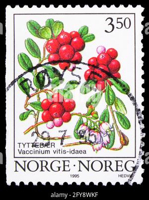 MOSCA, RUSSIA - 23 SETTEMBRE 2019: Francobollo stampato in Norvegia mostra Cowberry (Vaccinium vitis-idaea), frutti di bosco serie, circa 1995 Foto Stock