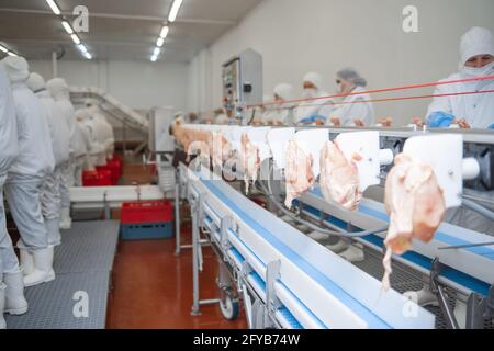 Linea di produzione di filetti di pollo. Stabilimento per la produzione di alimenti a partire dalla linea di produzione della carne con confezionamento e taglio della carne. Foto Stock