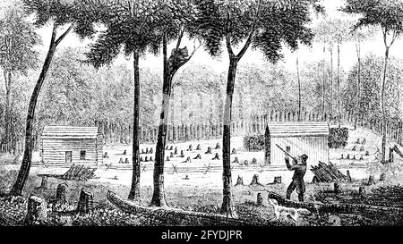 1800 1812 HOMESTEAD FATTORIA CASETTA CONTADINO PIONEER TIRO ORSO SU IN UN ALBERO ROCHESTER NEW YORK USA - O3418 LAN001 HARS EDIFICI HUNTER CABINA 1800 AGRICOLTURA B&W PIONEER WIDE ANGOLO 1812 MAMMIFERI AVVENTURA PERICOLOSO LOG CORAGGIO CANINE ECCITAZIONE AGRICOLTORI PIONIERI DI FRONTIERA HOMESTEAD SU CASE FLINTLOCK OCCUPAZIONI POOCH CONCETTUALE NUOVO YORK BEARS RESIDENCE ROCHESTER MIRA CANINO AUTORIZZATO ARMI DA FUOCO TERRA I COLONI DI MAMMIFERI COLONI FAUNA IN BIANCO E NERO VECCHIO STILE Foto Stock
