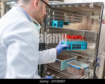 Uomo che lavora in laboratorio per l'inserimento dei campioni in fiale nell'incubatore. Yound scienziato medico sperimentando indossare guanti protettivi camice maschera facciale da laboratorio Foto Stock