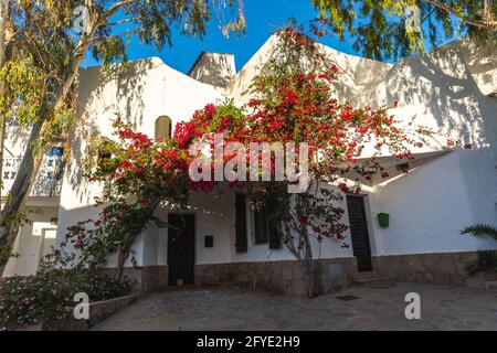 Bella casa con fiori a San Jose nella città di Nijar, Almeria Foto Stock