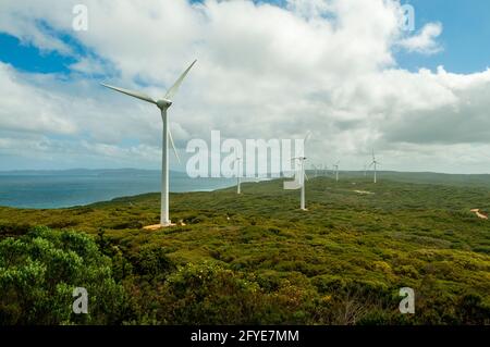 Albany Wind Farm, vicino Albany, WA, Australia Foto Stock