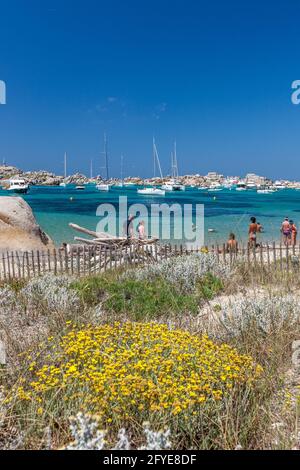 FRANCIA, CORSE DU SUD (2A) ZONA ESTREMA SUD, ISOLA LAVEZZI, LAVEZZI ARCHIPEL Foto Stock